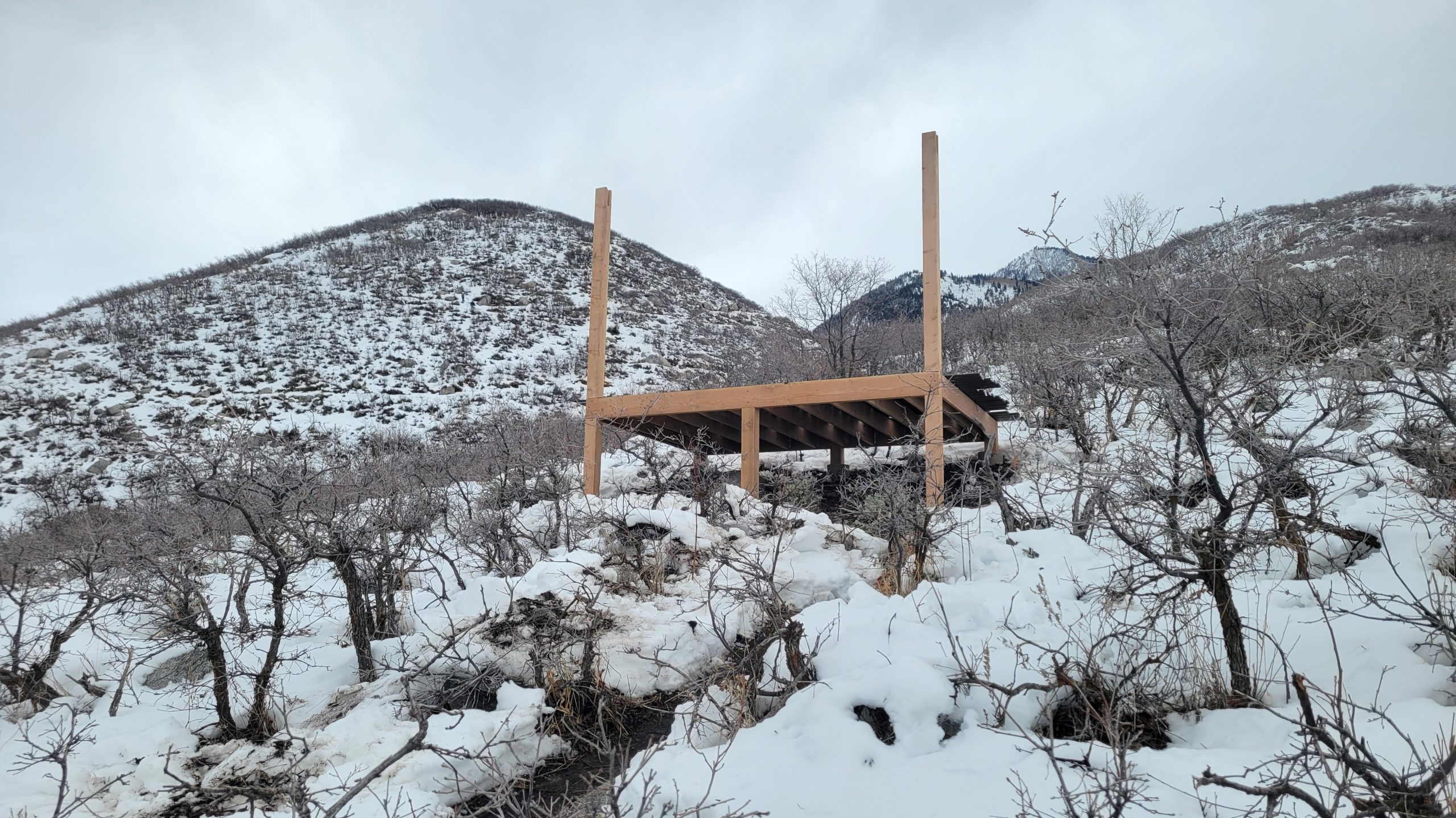 Gallery 20230108 125039 1756239747 Jpg